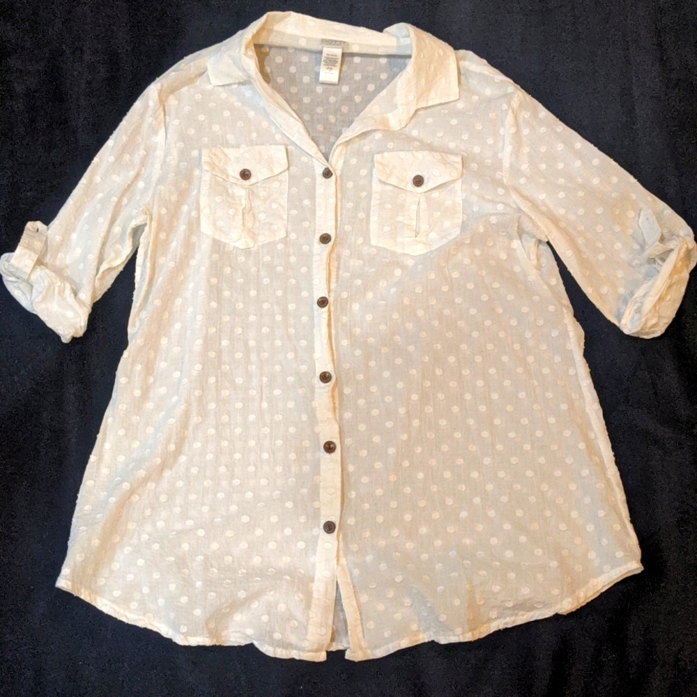 Dotti Sheer Tunic Shirt